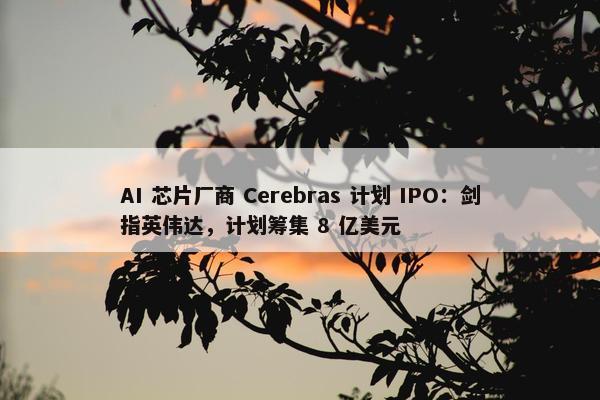 AI 芯片厂商 Cerebras 计划 IPO：剑指英伟达，计划筹集 8 亿美元