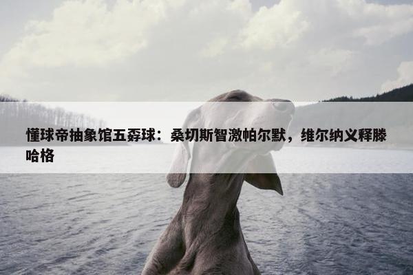 懂球帝抽象馆五孬球：桑切斯智激帕尔默，维尔纳义释滕哈格