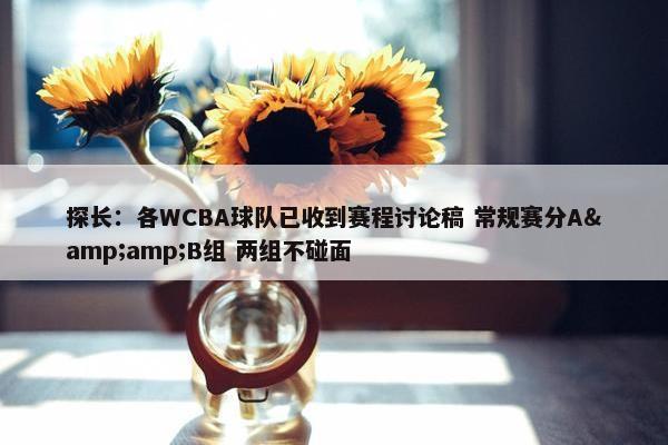 探长：各WCBA球队已收到赛程讨论稿 常规赛分A&amp;B组 两组不碰面