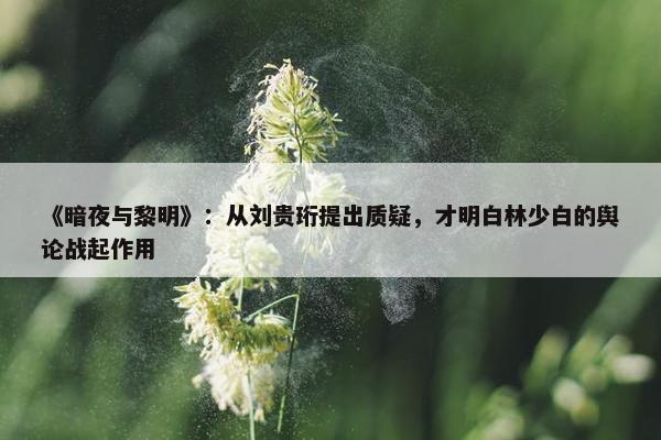 《暗夜与黎明》：从刘贵珩提出质疑，才明白林少白的舆论战起作用