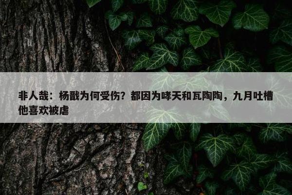 非人哉：杨戬为何受伤？都因为哮天和瓦陶陶，九月吐槽他喜欢被虐