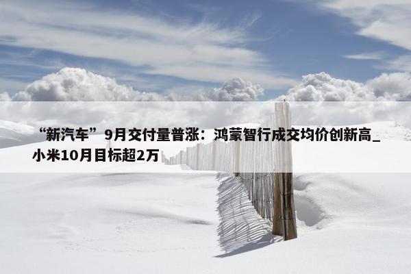 “新汽车”9月交付量普涨：鸿蒙智行成交均价创新高_小米10月目标超2万