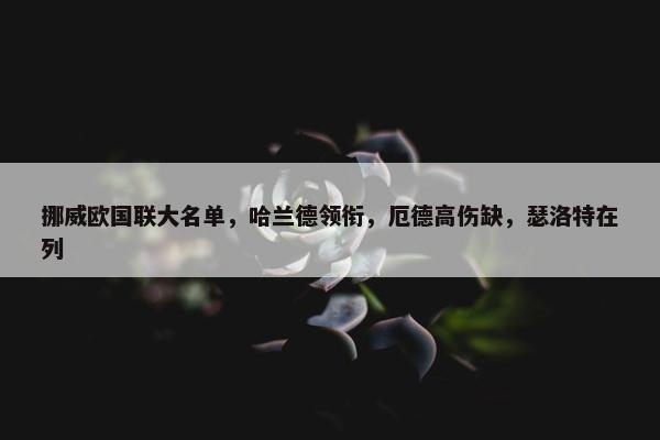 挪威欧国联大名单，哈兰德领衔，厄德高伤缺，瑟洛特在列