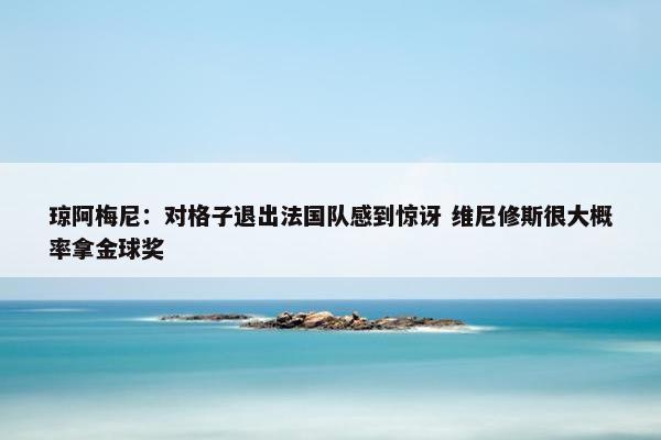 琼阿梅尼：对格子退出法国队感到惊讶 维尼修斯很大概率拿金球奖