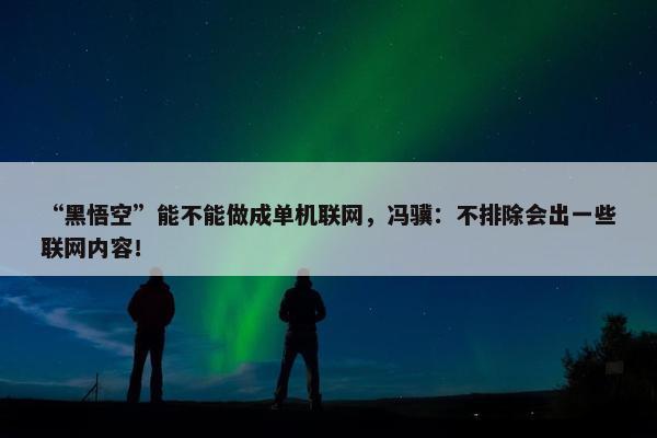 “黑悟空”能不能做成单机联网，冯骥：不排除会出一些联网内容！