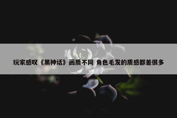 玩家感叹《黑神话》画质不同 角色毛发的质感都差很多