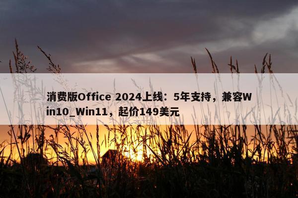 消费版Office 2024上线：5年支持，兼容Win10_Win11，起价149美元