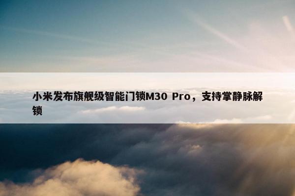 小米发布旗舰级智能门锁M30 Pro，支持掌静脉解锁