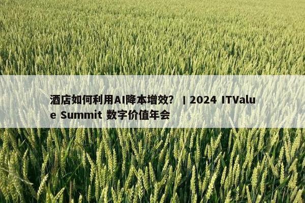 酒店如何利用AI降本增效？丨2024 ITValue Summit 数字价值年会