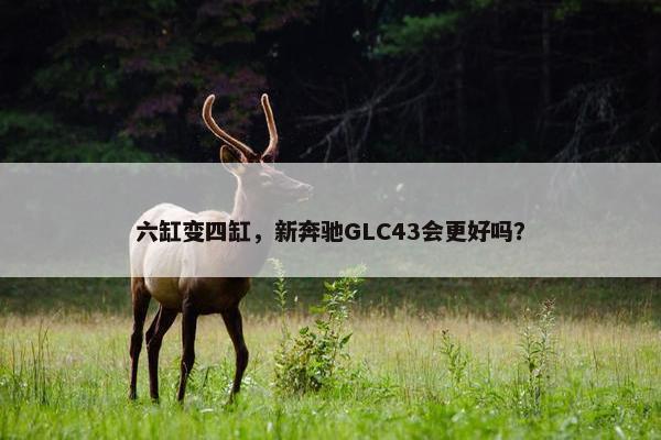 六缸变四缸，新奔驰GLC43会更好吗？