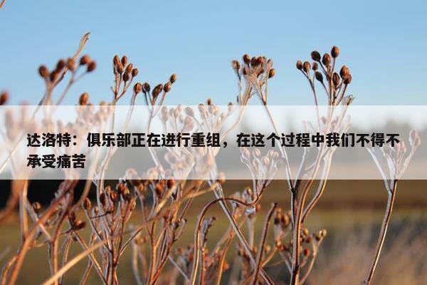 达洛特：俱乐部正在进行重组，在这个过程中我们不得不承受痛苦