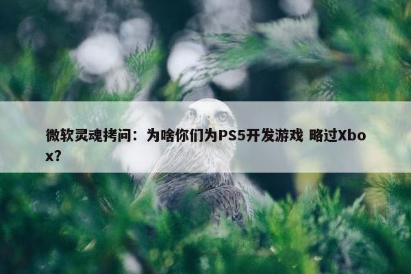 微软灵魂拷问：为啥你们为PS5开发游戏 略过Xbox？