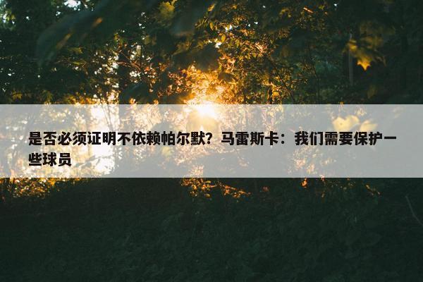 是否必须证明不依赖帕尔默？马雷斯卡：我们需要保护一些球员