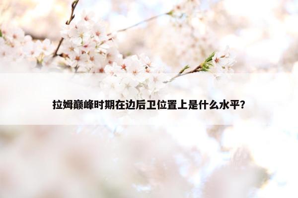 拉姆巅峰时期在边后卫位置上是什么水平？