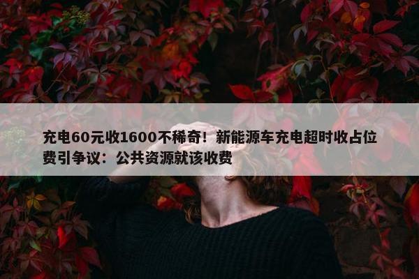 充电60元收1600不稀奇！新能源车充电超时收占位费引争议：公共资源就该收费