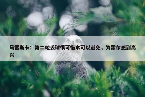 马雷斯卡：第二粒丢球很可惜本可以避免，为霍尔感到高兴