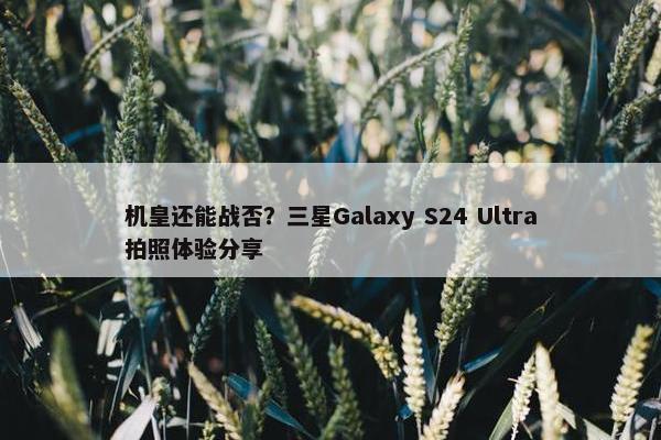 机皇还能战否？三星Galaxy S24 Ultra拍照体验分享