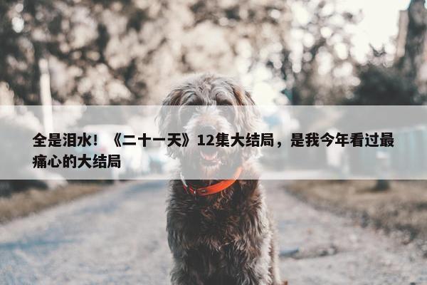 全是泪水！《二十一天》12集大结局，是我今年看过最痛心的大结局