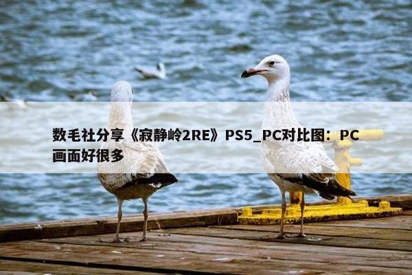 数毛社分享《寂静岭2RE》PS5_PC对比图：PC画面好很多