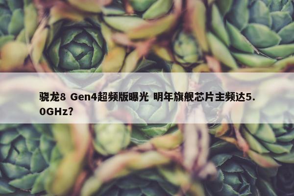 骁龙8 Gen4超频版曝光 明年旗舰芯片主频达5.0GHz？