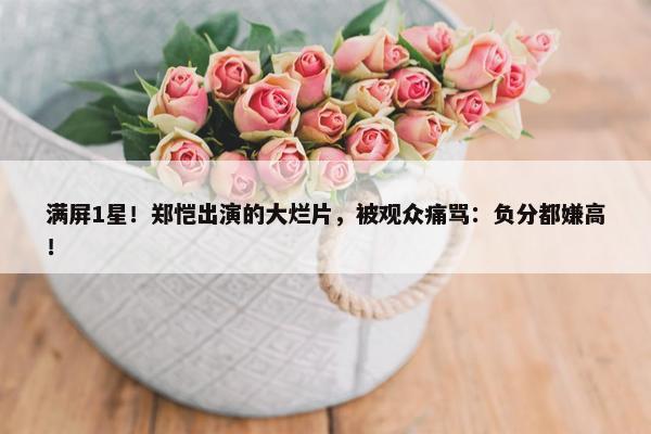 满屏1星！郑恺出演的大烂片，被观众痛骂：负分都嫌高！