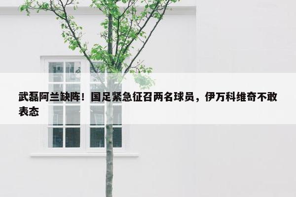 武磊阿兰缺阵！国足紧急征召两名球员，伊万科维奇不敢表态