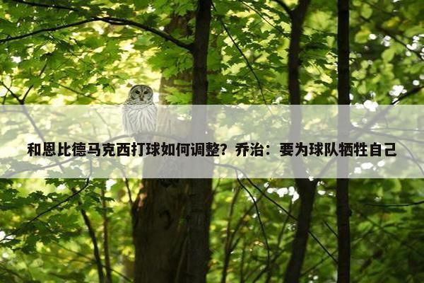 和恩比德马克西打球如何调整？乔治：要为球队牺牲自己