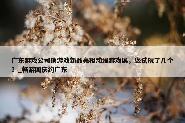 广东游戏公司携游戏新品亮相动漫游戏展，您试玩了几个？_畅游国庆约广东