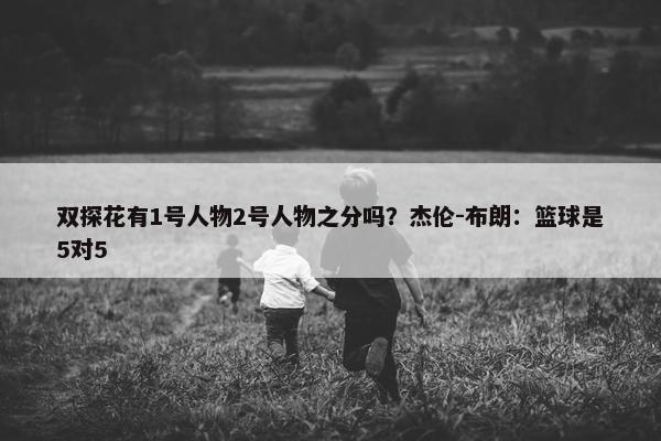 双探花有1号人物2号人物之分吗？杰伦-布朗：篮球是5对5