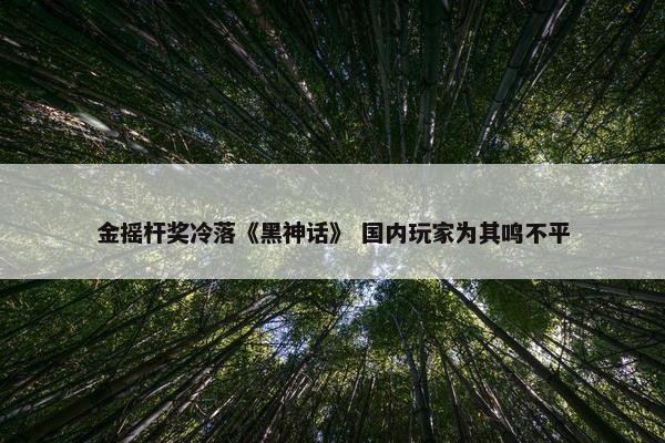 金摇杆奖冷落《黑神话》 国内玩家为其鸣不平