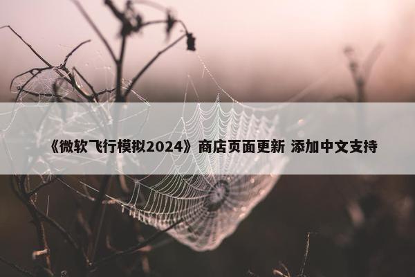 《微软飞行模拟2024》商店页面更新 添加中文支持