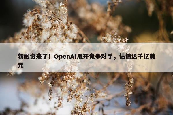 新融资来了！OpenAI甩开竞争对手，估值达千亿美元