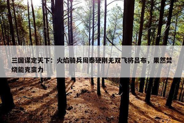 三国谋定天下：火焰骑兵周泰硬刚无双飞将吕布，果然焚烧能克蛮力