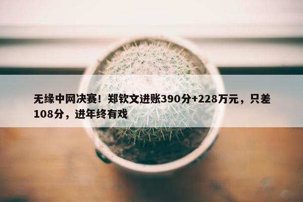 无缘中网决赛！郑钦文进账390分+228万元，只差108分，进年终有戏