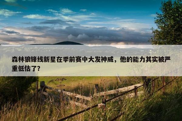 森林狼锋线新星在季前赛中大发神威，他的能力其实被严重低估了？