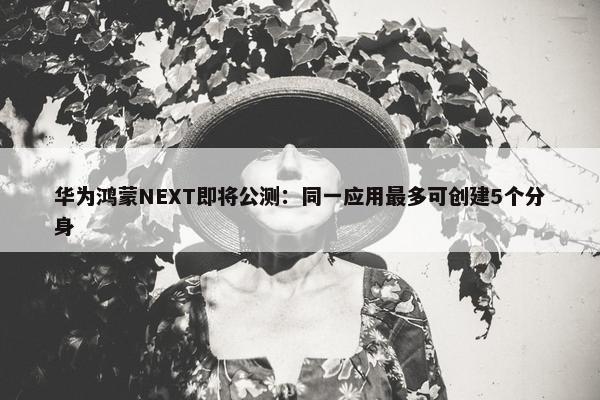 华为鸿蒙NEXT即将公测：同一应用最多可创建5个分身