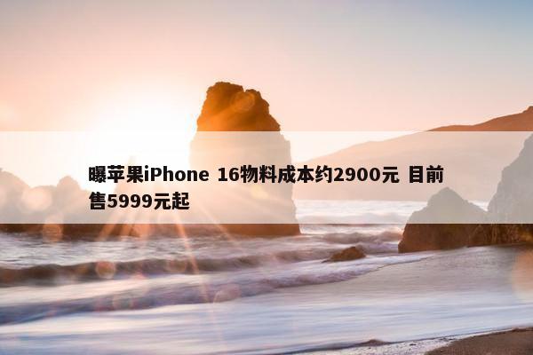 曝苹果iPhone 16物料成本约2900元 目前售5999元起