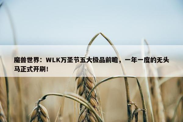 魔兽世界：WLK万圣节五大极品前瞻，一年一度的无头马正式开刷！