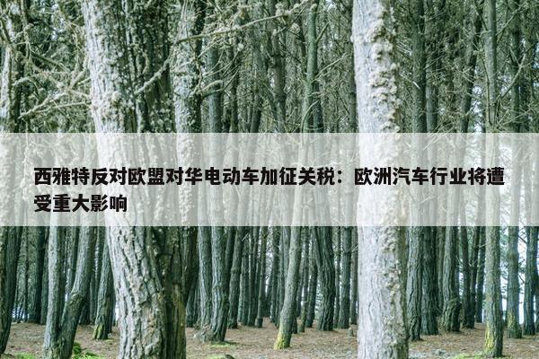 西雅特反对欧盟对华电动车加征关税：欧洲汽车行业将遭受重大影响