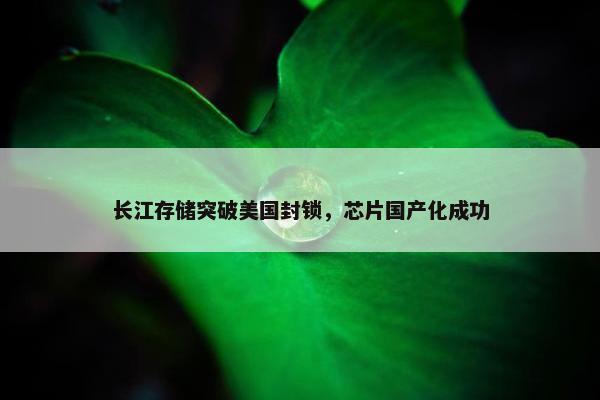 长江存储突破美国封锁，芯片国产化成功