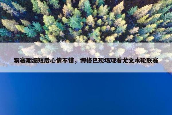 禁赛期缩短后心情不错，博格巴现场观看尤文本轮联赛