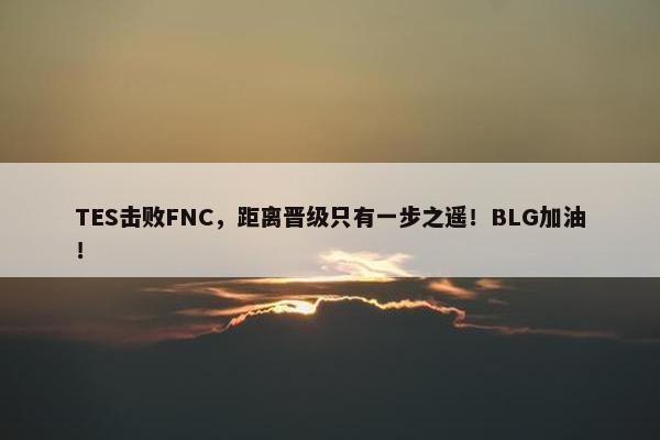 TES击败FNC，距离晋级只有一步之遥！BLG加油！