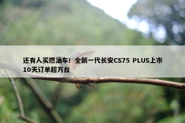 还有人买燃油车！全新一代长安CS75 PLUS上市10天订单超万台