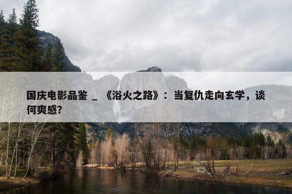 国庆电影品鉴 _ 《浴火之路》：当复仇走向玄学，谈何爽感？