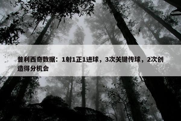 普利西奇数据：1射1正1进球，3次关键传球，2次创造得分机会