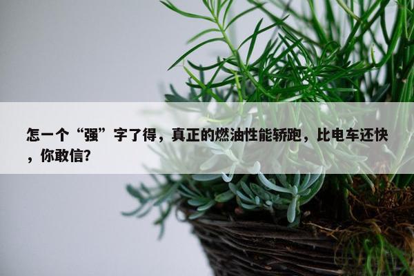 怎一个“强”字了得，真正的燃油性能轿跑，比电车还快，你敢信？