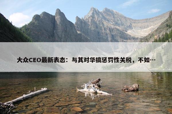 大众CEO最新表态：与其对华搞惩罚性关税，不如…