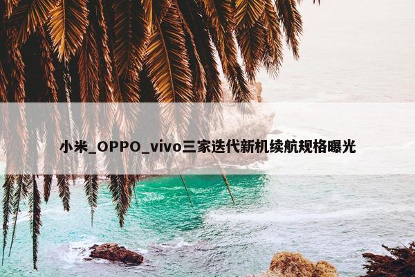 小米_OPPO_vivo三家迭代新机续航规格曝光