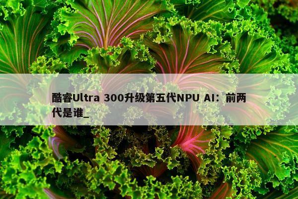 酷睿Ultra 300升级第五代NPU AI：前两代是谁_