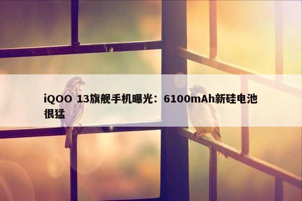 iQOO 13旗舰手机曝光：6100mAh新硅电池很猛